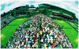 Wimbledon - semifinále žen